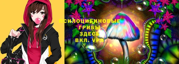 ECSTASY Алексеевка