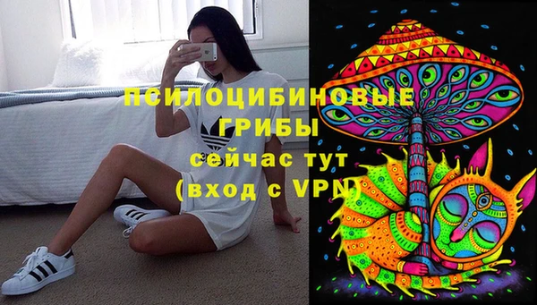 ECSTASY Алексеевка