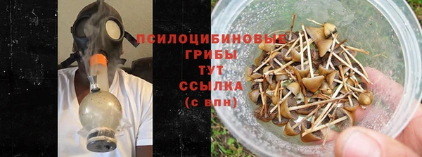 дурь Сафоново